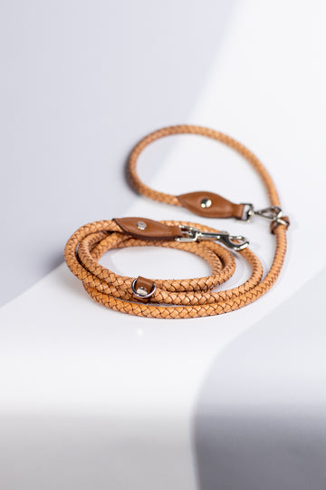 Dog leash Carolina Waves Camel