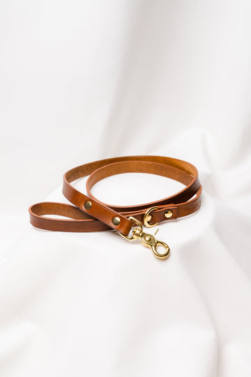 Dog leash Ponte Whisky