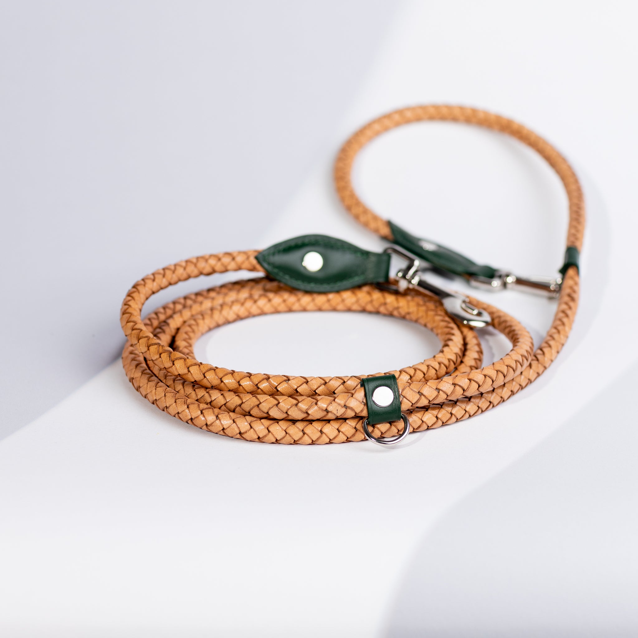 Dog leash Carolina Waves Brunswick