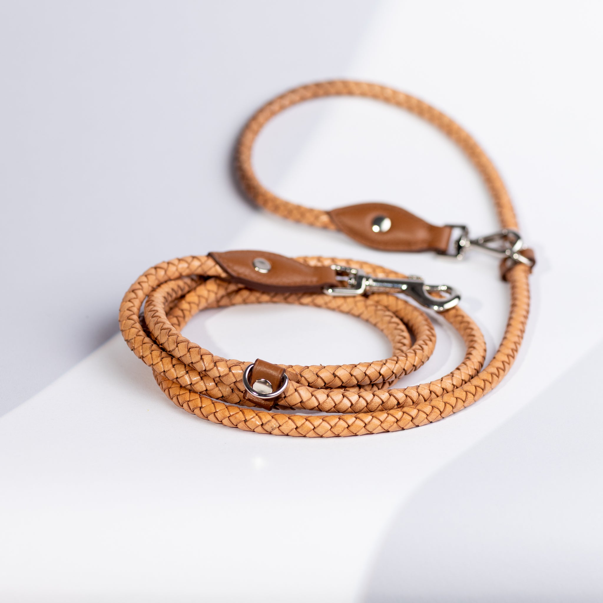 Dog leash Carolina Waves Camel