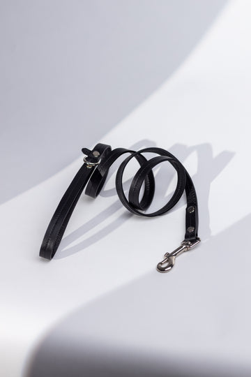 Dog leash Onyx