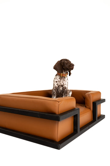 Domini - dog bed