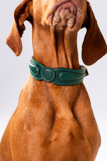 Dog Collar Brunswick