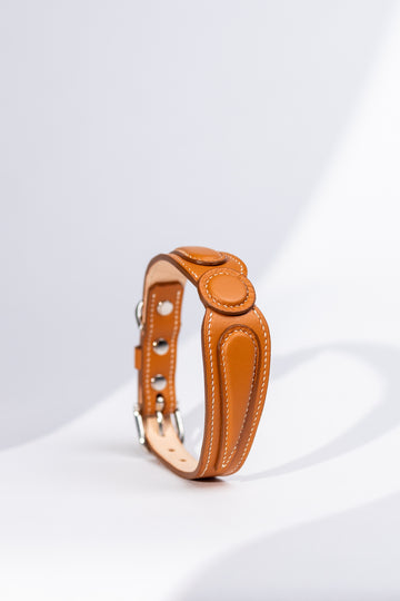 Dog Collar Amber