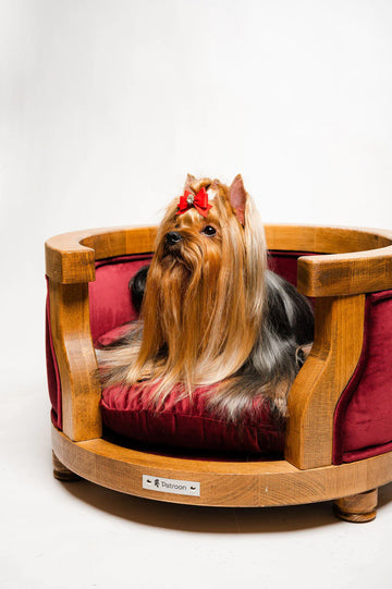 Leo S — small dog bed