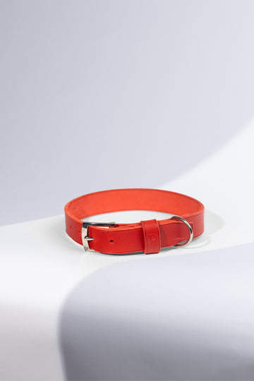 Hundehalsband Crimson