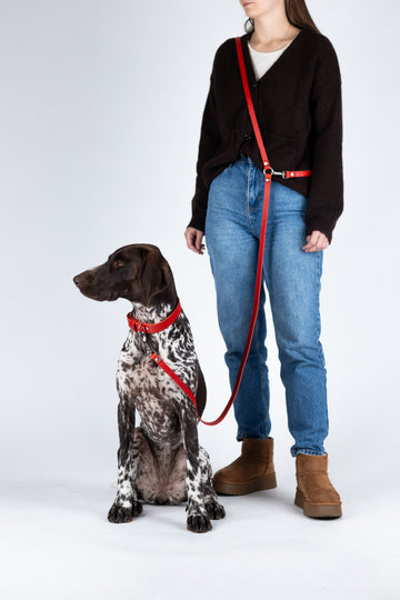 Hundeleine Crimson Long