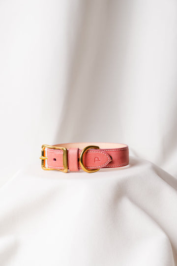 Dog Collar Maya Rosa