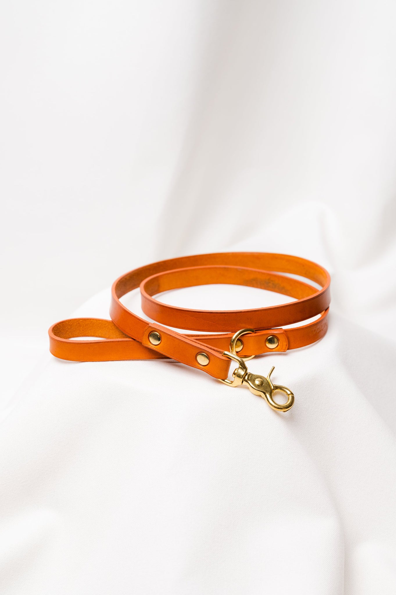 Dog leash Ponte Honey