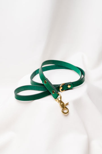 Dog leash Ponte Green